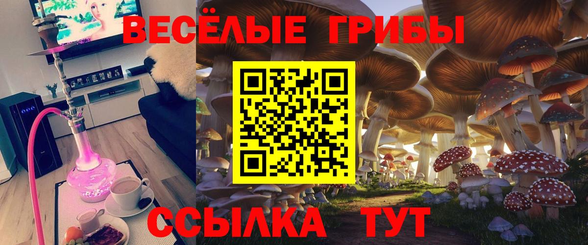 Галлюциногенные грибы прущие грибы Десногорск